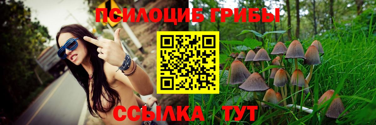 Троицк  Галлюциногенные грибы мухоморы  купить закладку  Вход с VPN 